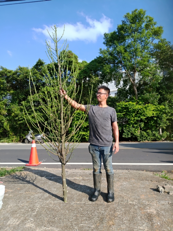 jeff的第二张照片--建宁征婚网