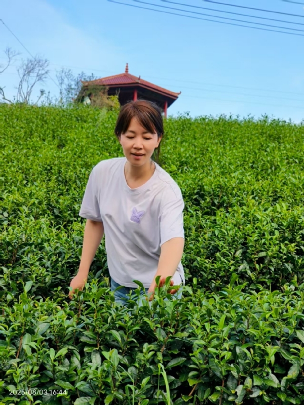 Q绮芳的第一张照片--建宁征婚网